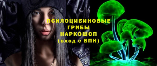 СК Алексин
