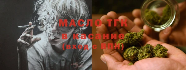 СК Алексин