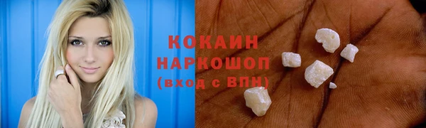 СК Алексин
