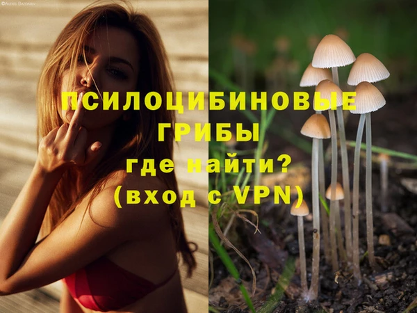 амфетамин Алексеевка