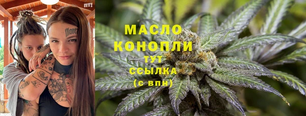СК Алексин