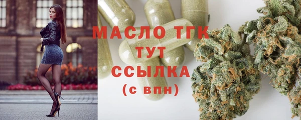 СК Алексин
