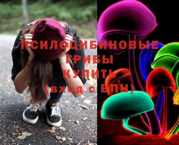 СК Алексин
