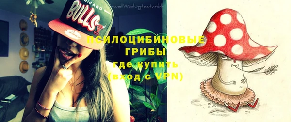 дурь Алзамай
