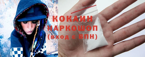 СК Алексин