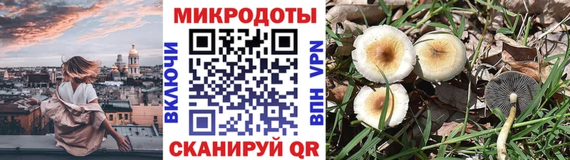 Псилоцибиновые грибы GOLDEN TEACHER Анжеро-Судженск