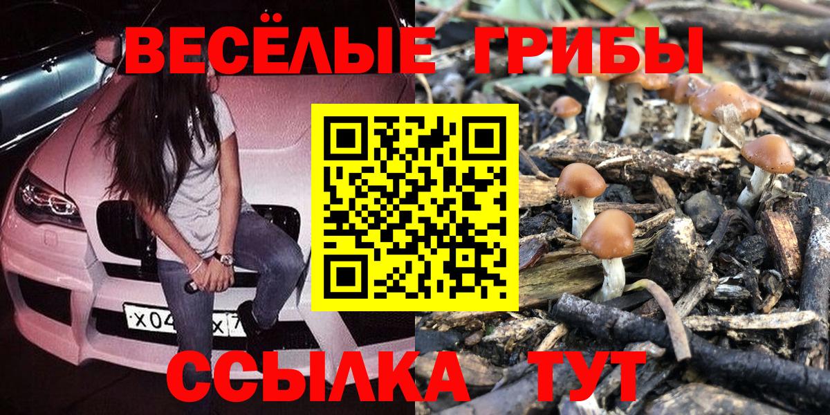 Галлюциногенные грибы мицелий  Псилоцибиновые грибы ЛСД  Вход с VPN  Анжеро-Судженск 